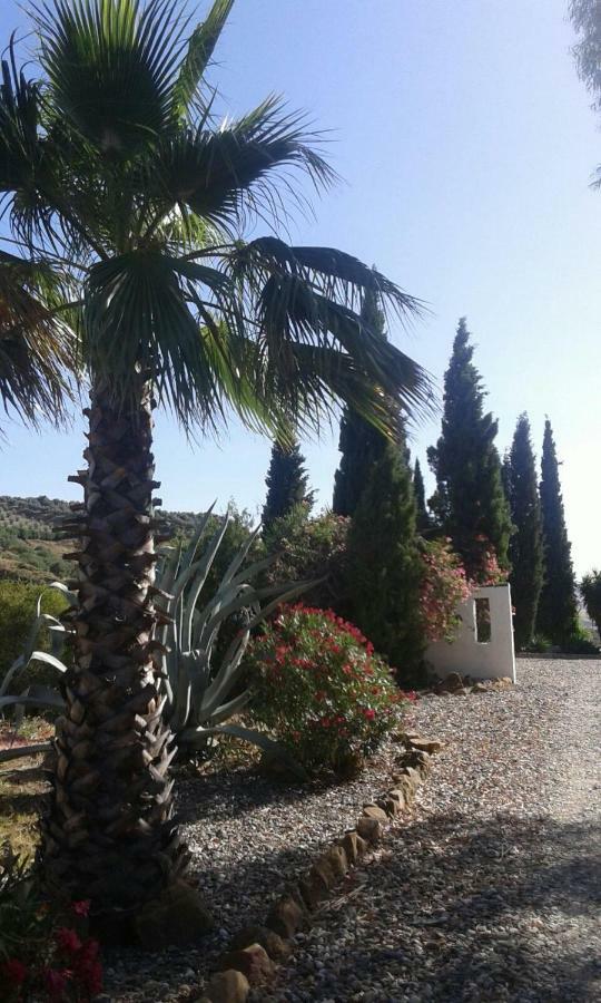 Casa Fuente De La Zorra Guest House Alora Eksteriør bilde