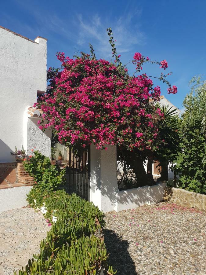 Casa Fuente De La Zorra Guest House Alora Eksteriør bilde