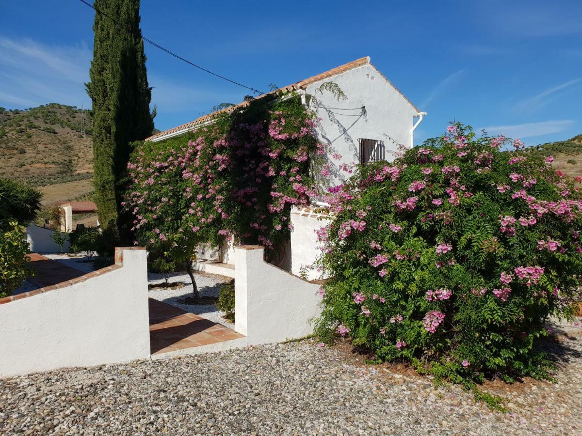 Casa Fuente De La Zorra Guest House Alora Eksteriør bilde